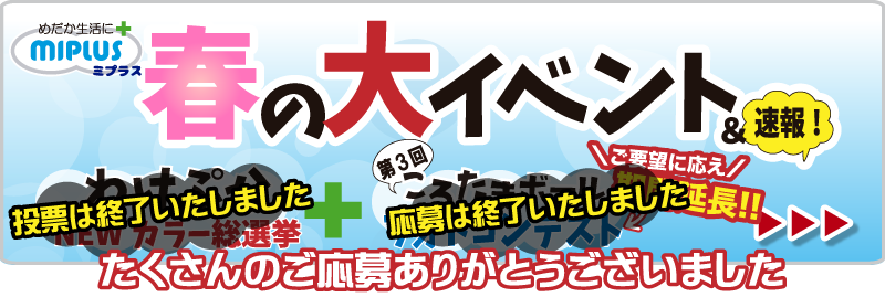 2024年 春の大イベント【わけぷかNEWカラー総選挙】【第3回ころたまボールフォトコンテスト】